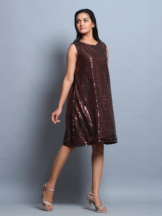 Brown Sequins Dress