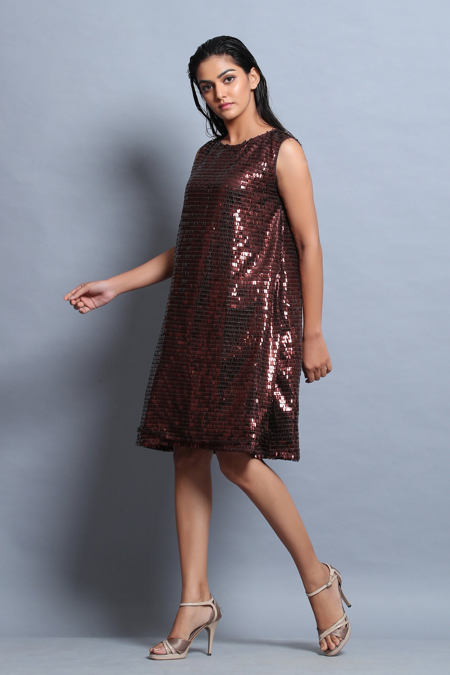 Brown Sequins Dress